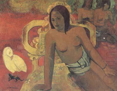 Paul Gauguin Variumati (mk07) china oil painting image